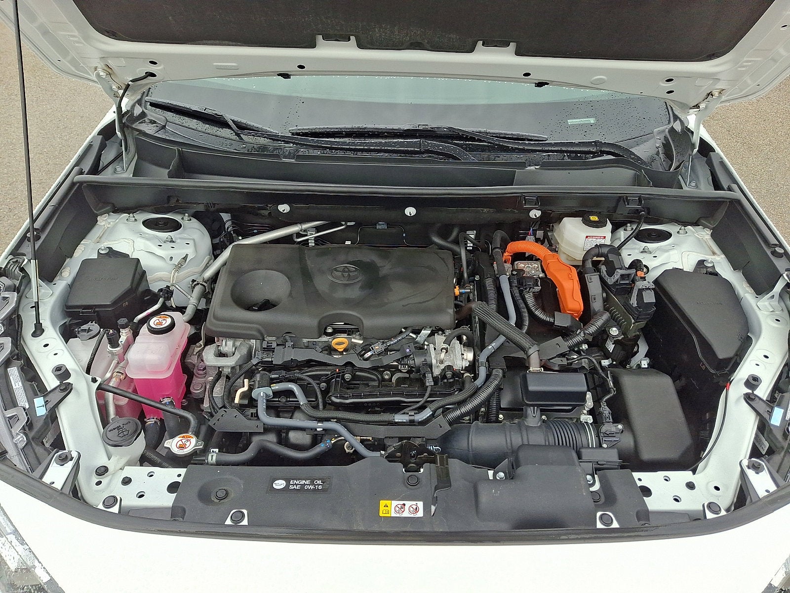 2024 Toyota RAV4 Hybrid LE