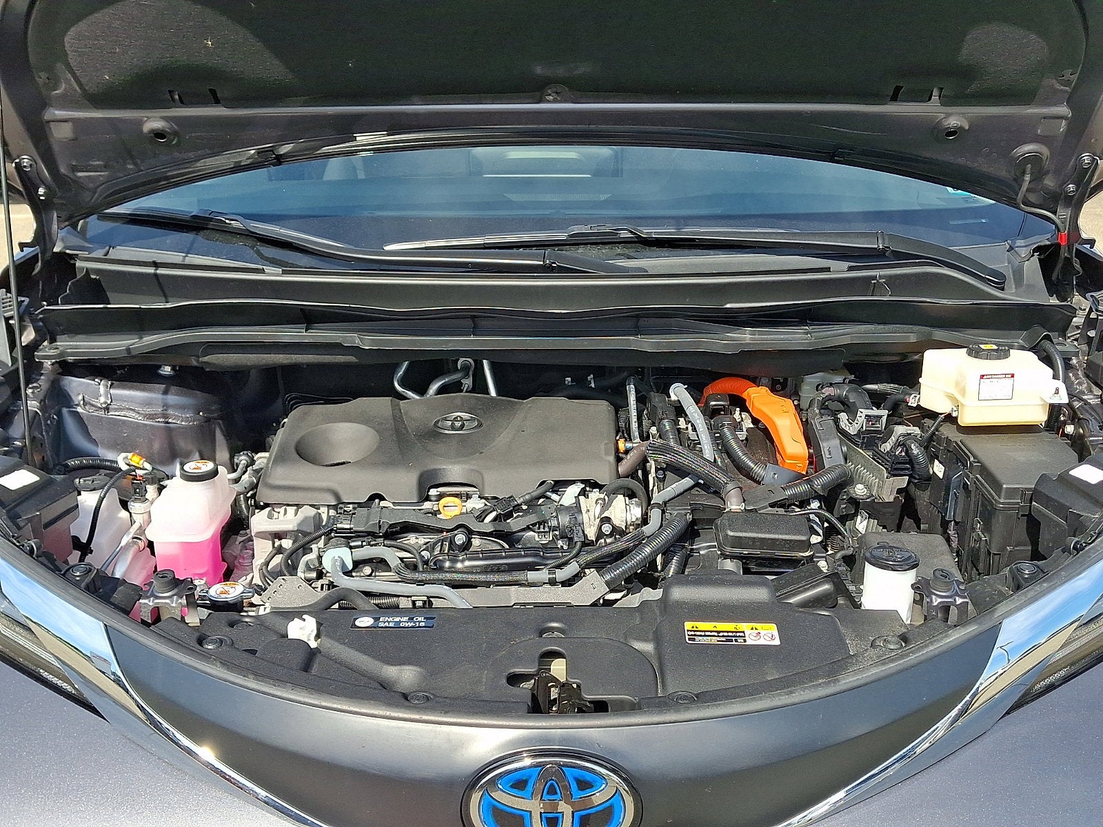 2025 Toyota Sienna LE