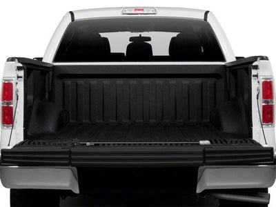 2010 Ford F-150 XLT