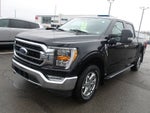 2023 Ford F-150 Base